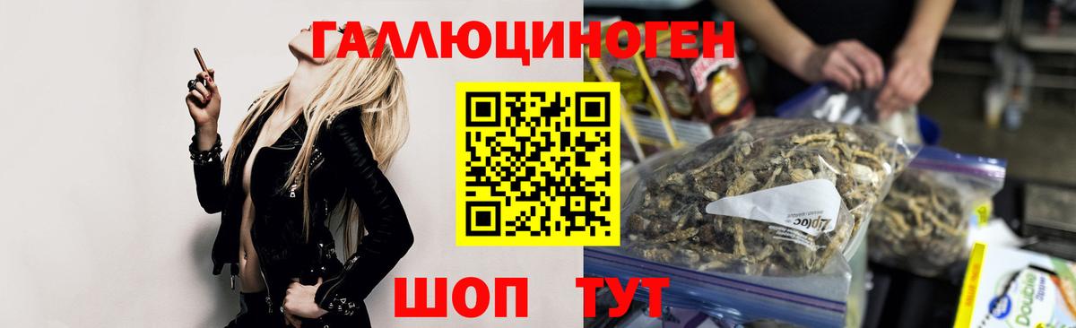 Чебоксары  закладка  Вход с VPN  Псилоцибиновые грибы ЛСД 